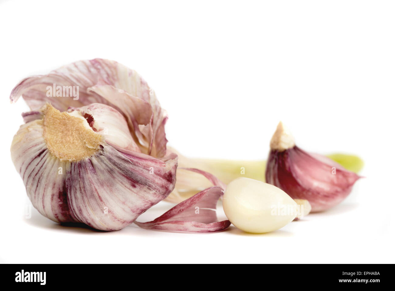 Knoblauch - Nelke und Knoblauchknolle auf weißem Hintergrund Stockfoto