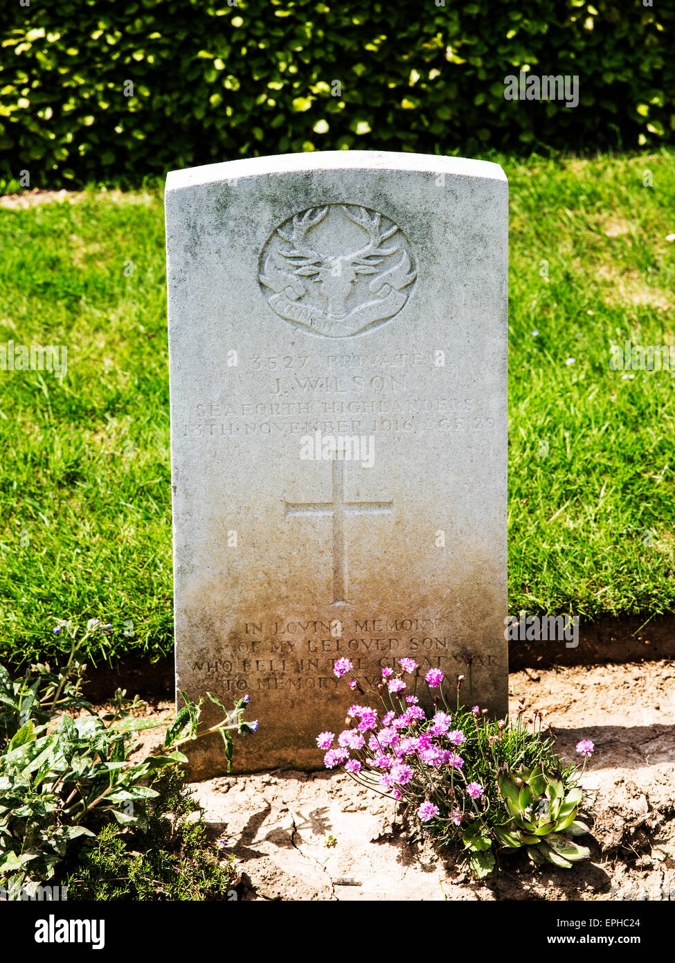 Das Grab von 1531 Pte J Wilson in Beaumont-Hamel Soldatenfriedhof an der Somme Stockfoto