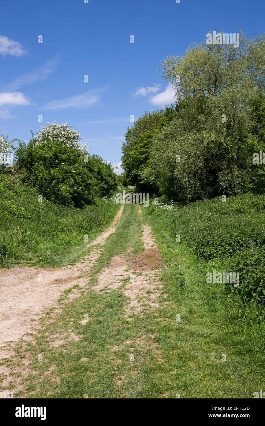 "Versunkene Lane" an der Somme bei Beaumont-Hamel aus dem 1. Lancashire Fusiliers am ersten Tag der Schlacht angegriffen Stockfoto
