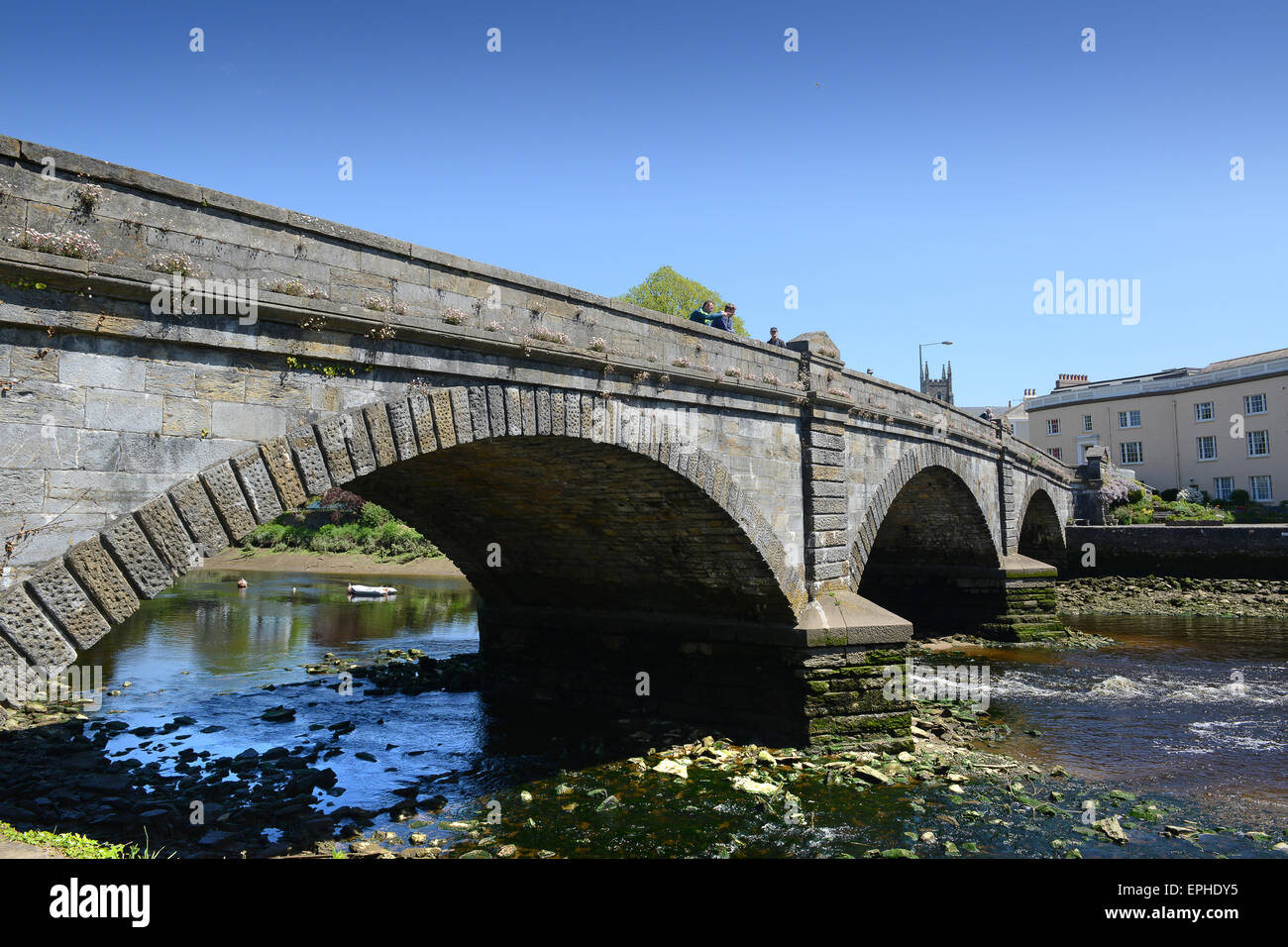 Totnes Devon Uk River Dart-Brücke bei Vire Insel Stockfoto