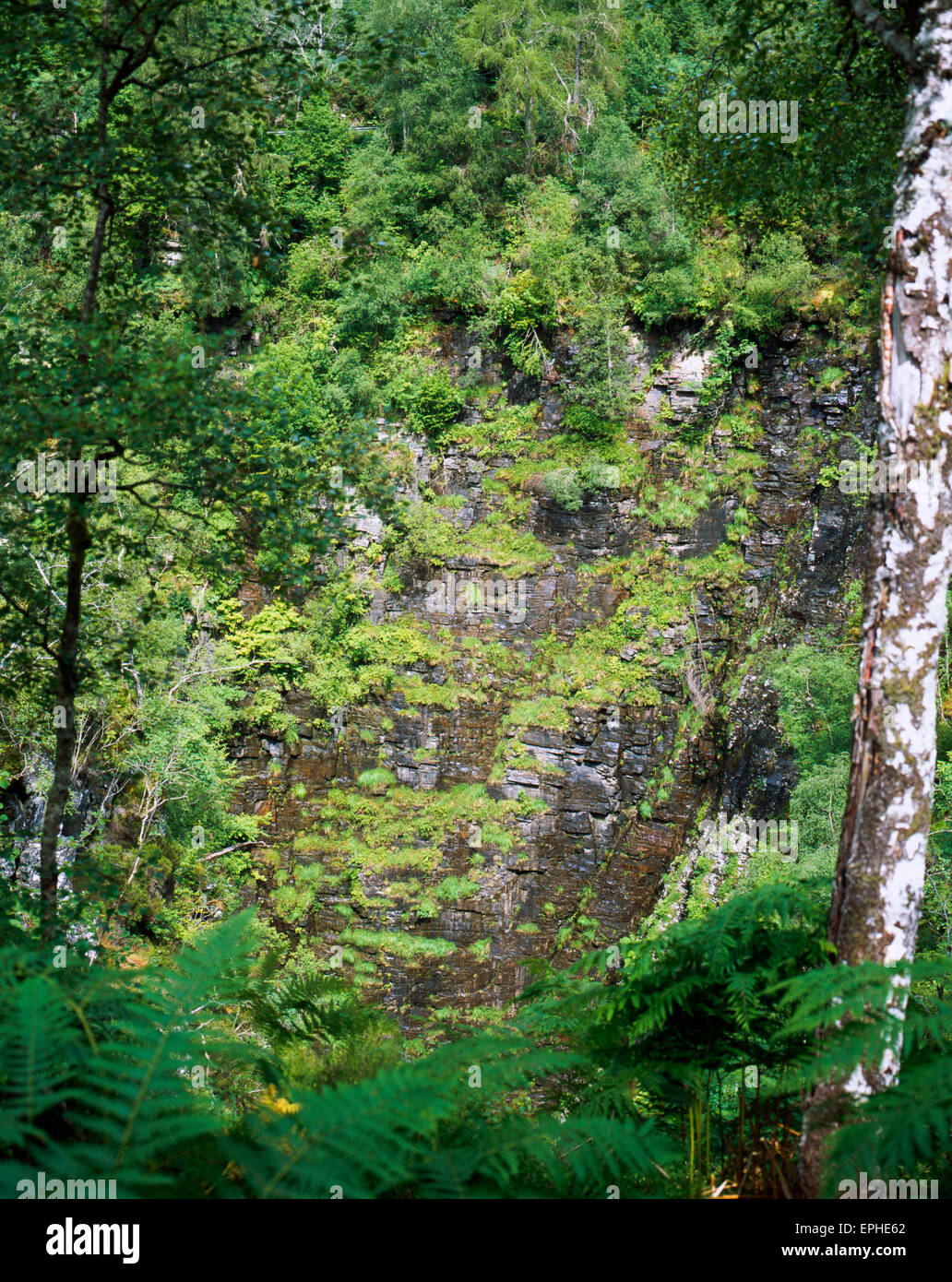 Klippe Gesichter Corrieshalloch Gorge, erstellt durch die fällt der Measach Braemore Junction in der Nähe von Ullapool Wester Ross Scotland Stockfoto