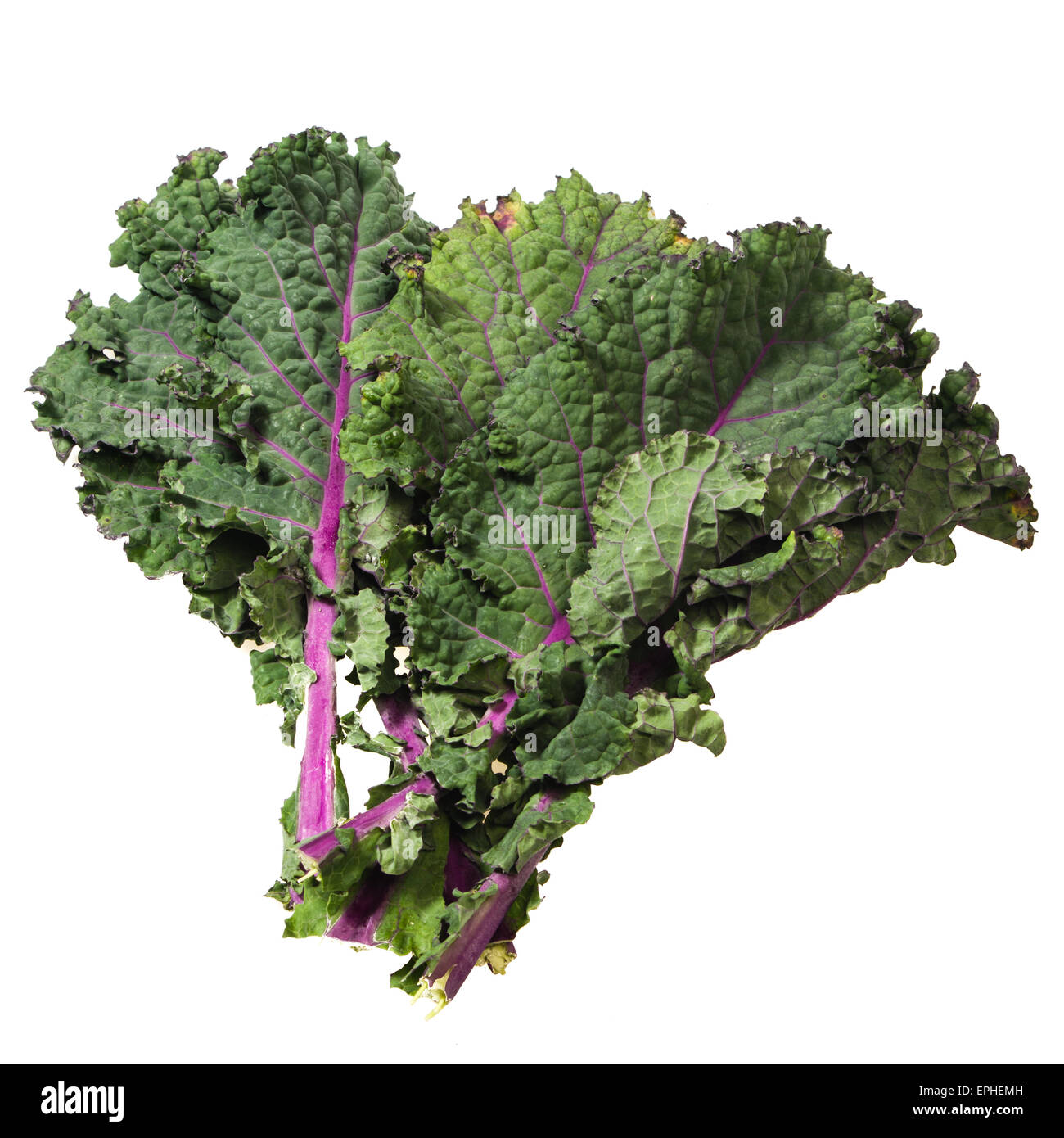 Frische grüne Kohl Blätter isoliert auf weiss Stockfoto