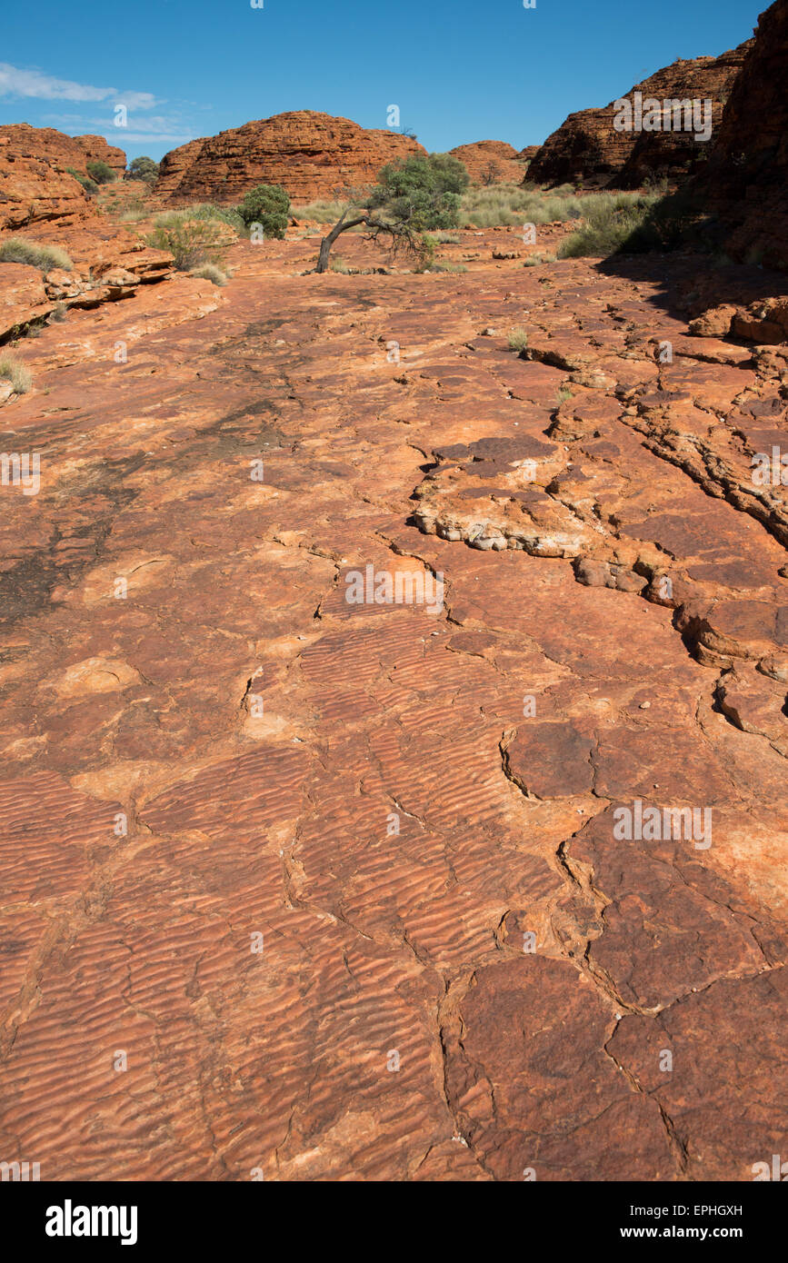 Australien, NT, Watarrka National Park. Kings Canyon, Rim Walk. Urzeitlichen Meeres Wellen, Beweise in Stein der alten Seen. Stockfoto