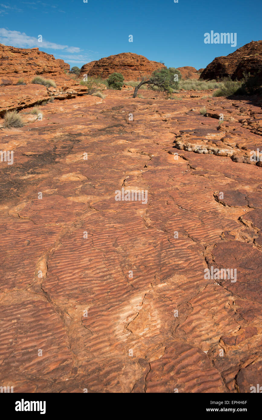 Australien, NT, Watarrka National Park. Kings Canyon, Rim Walk. Urzeitlichen Meeres Wellen, Beweise in Stein der alten Seen. Stockfoto