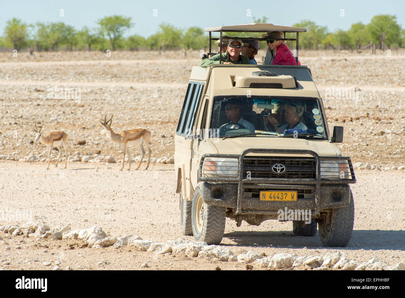 Afrika, Namibia. Reisegruppe stoppt um zu fotografieren von Wildtieren. Etosha National Park. Stockfoto