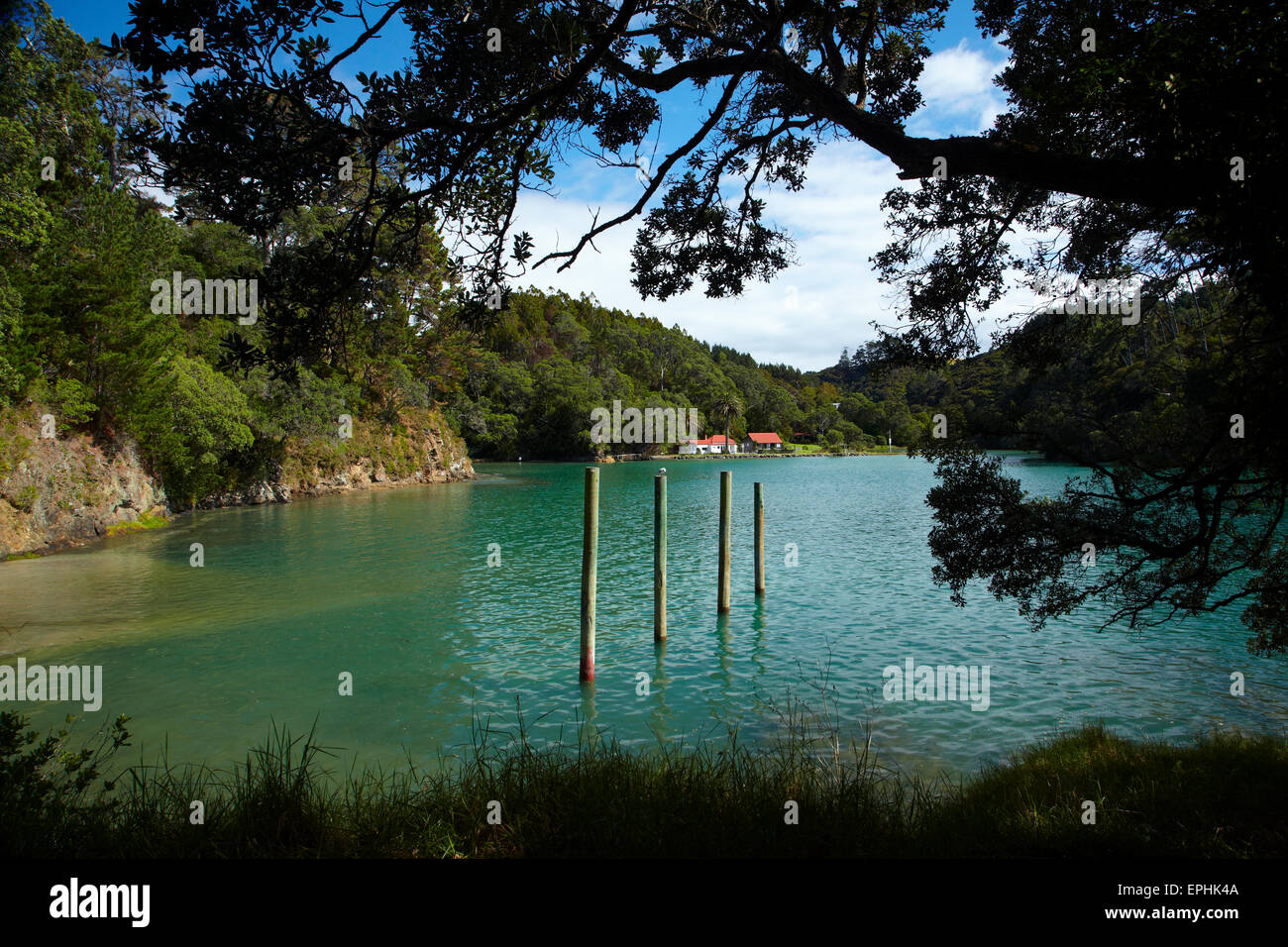 Omaha Cove, Leigh, North Auckland, Nordinsel, Neuseeland Stockfoto