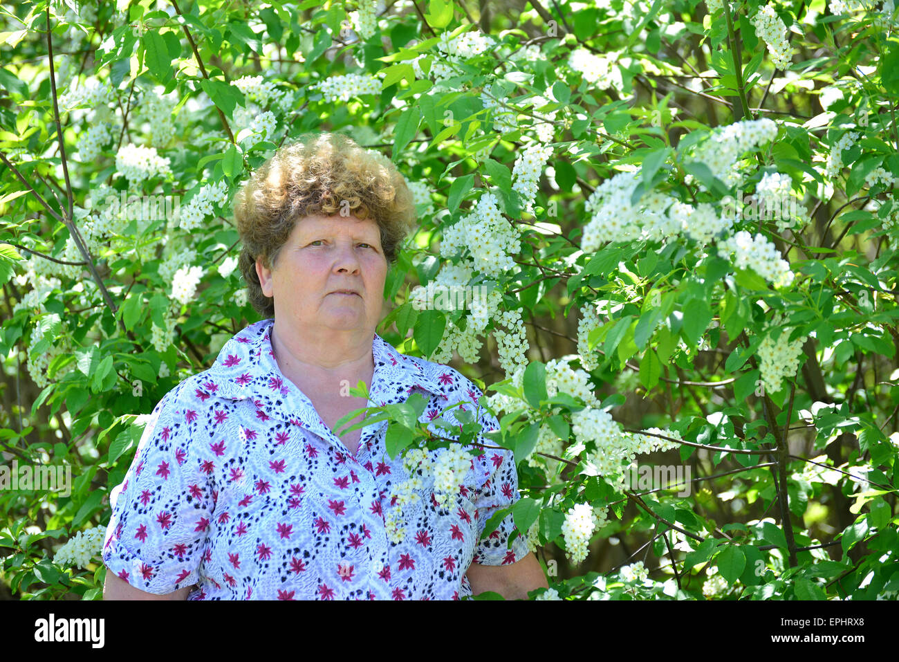 Nachdenkliche ältere Frau in der Frühling-Natur mit Kirschenblüten Stockfoto