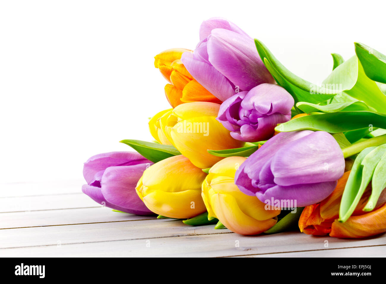 Tulpen Stockfoto