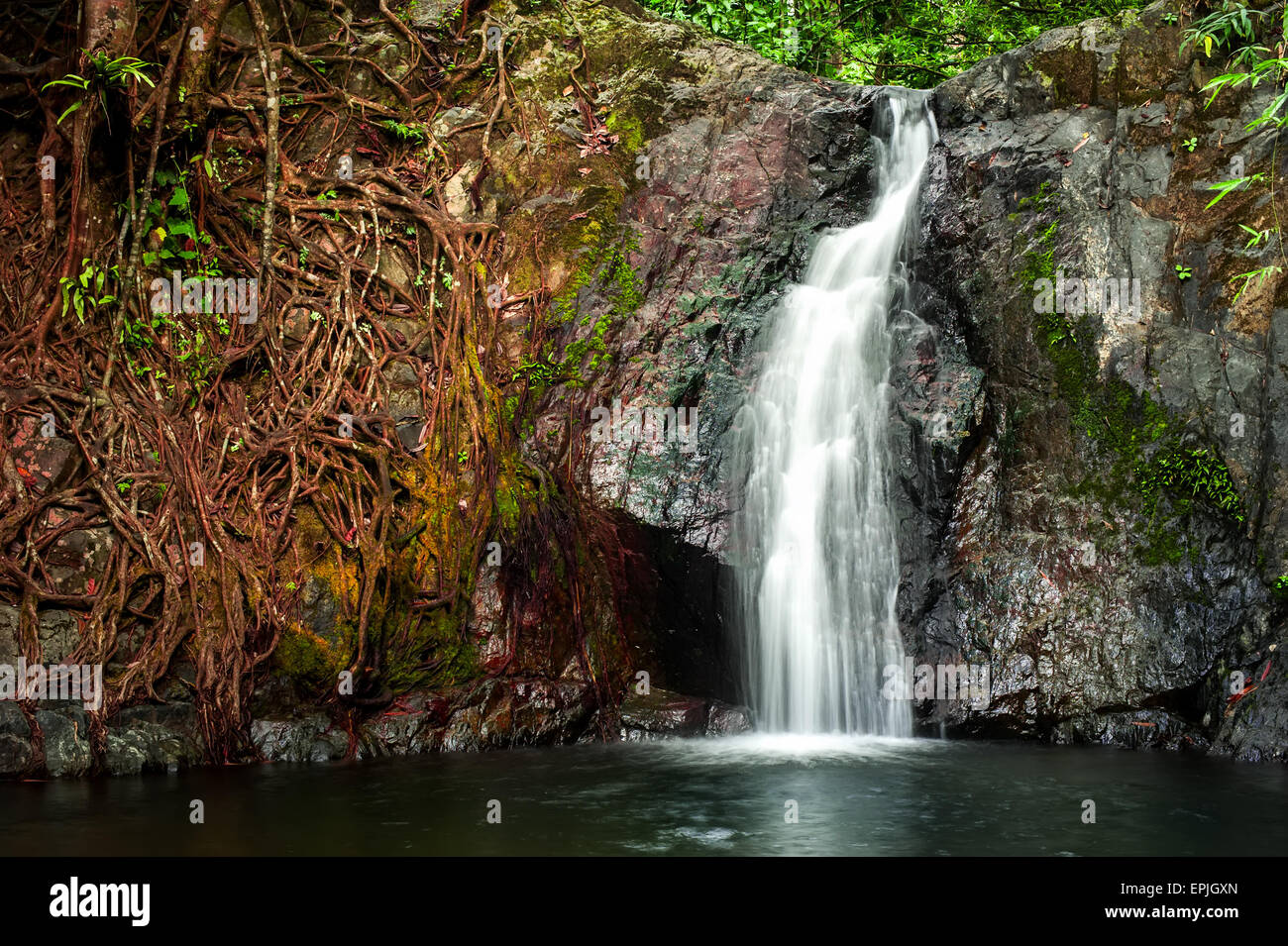 Tropischer Regenwald-Landschaft mit Dschungelpflanzen und fließendes Wasser von kleinen Wasserfall. Vang Vieng, Laos Stockfoto