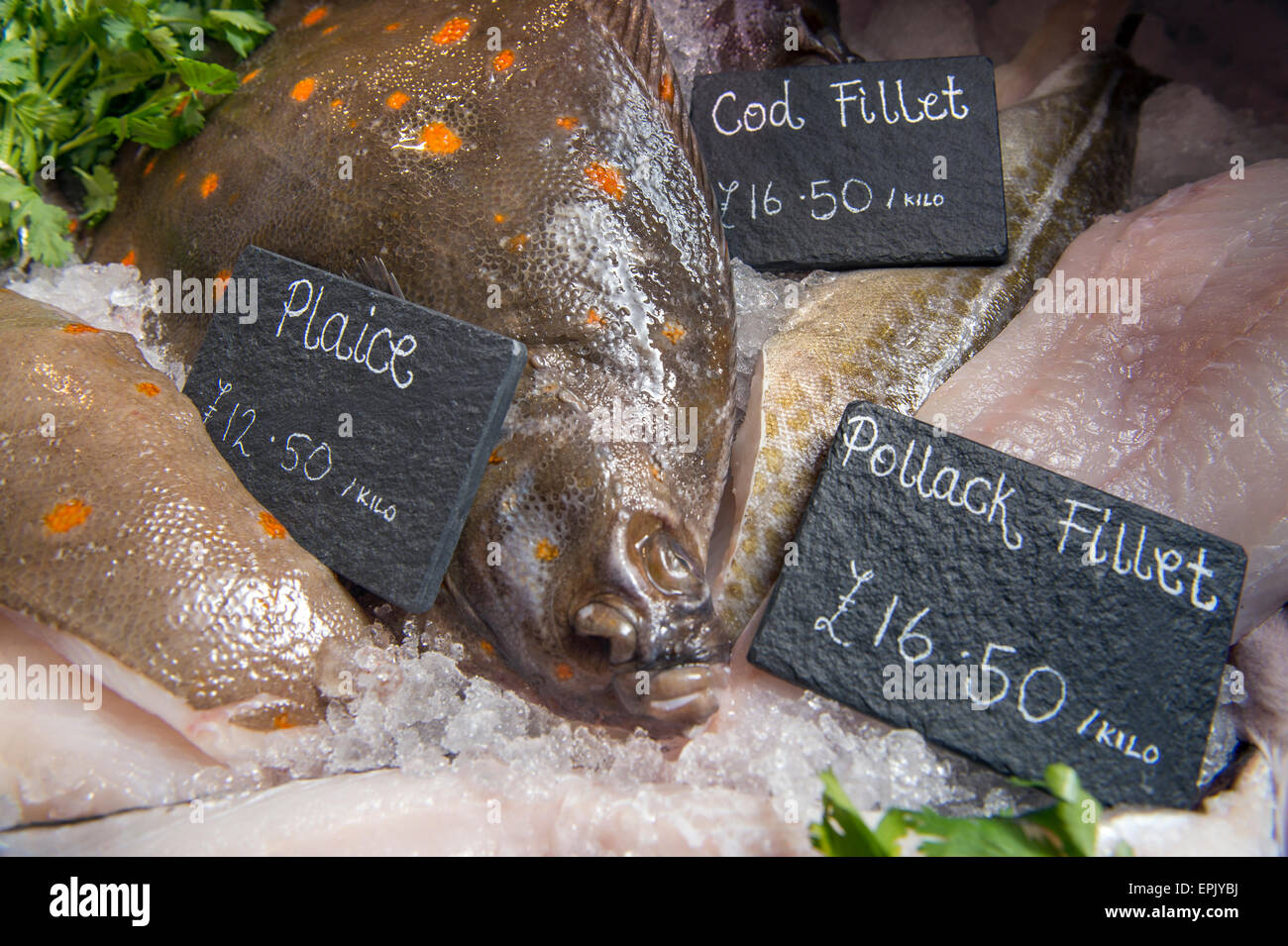 Eine Auswahl an frischem Fisch auch Scholle, Dorsch und Pollack in einem Fischhändler Zähler UK Stockfoto