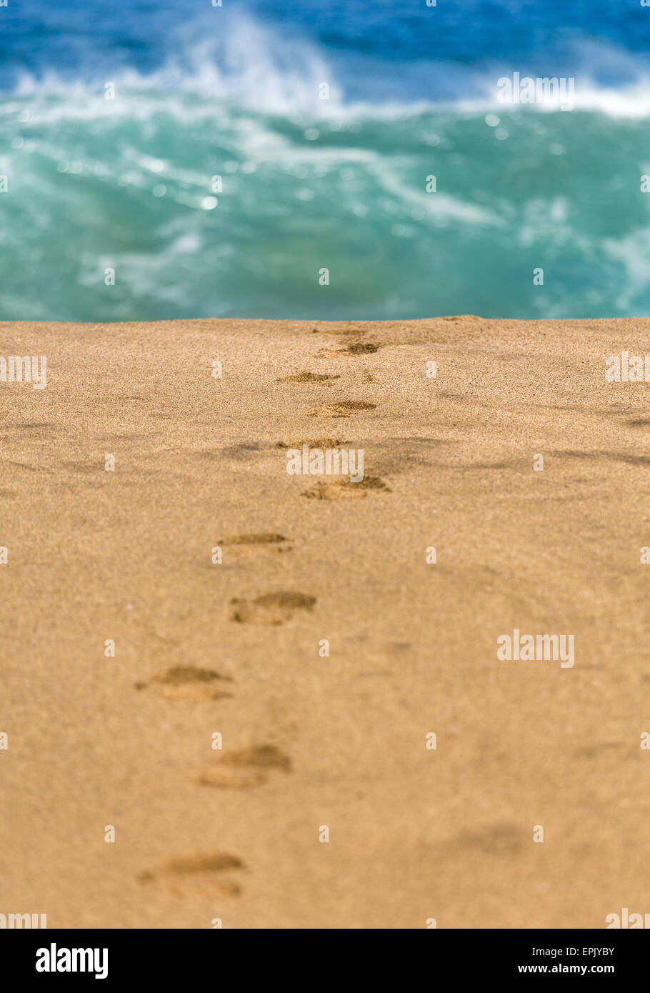 Sandstrand mit Spuren zu Wasser Stockfoto