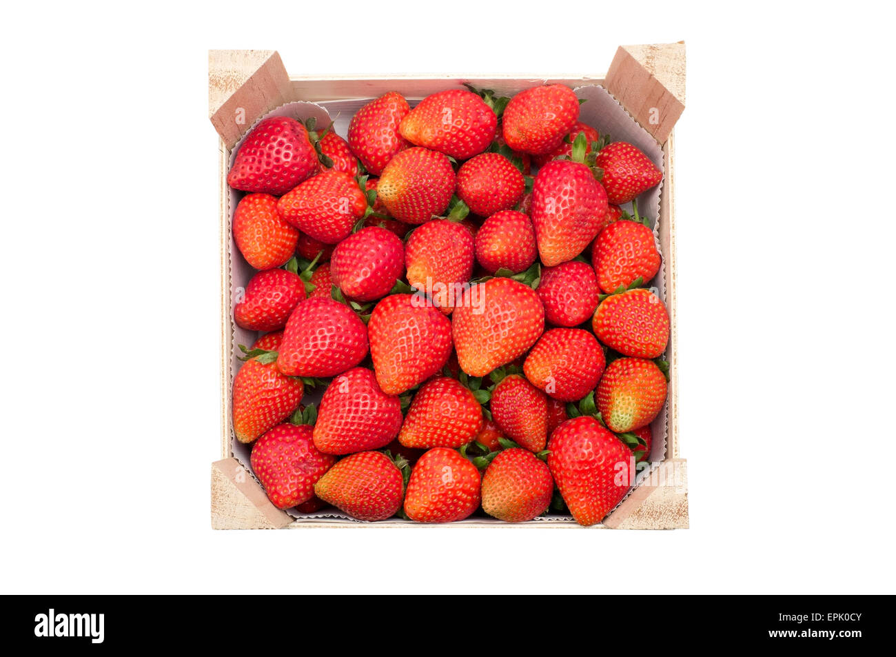 Kleine Kiste gefüllt mit Garten Erdbeeren auf weißem Hintergrund Stockfoto