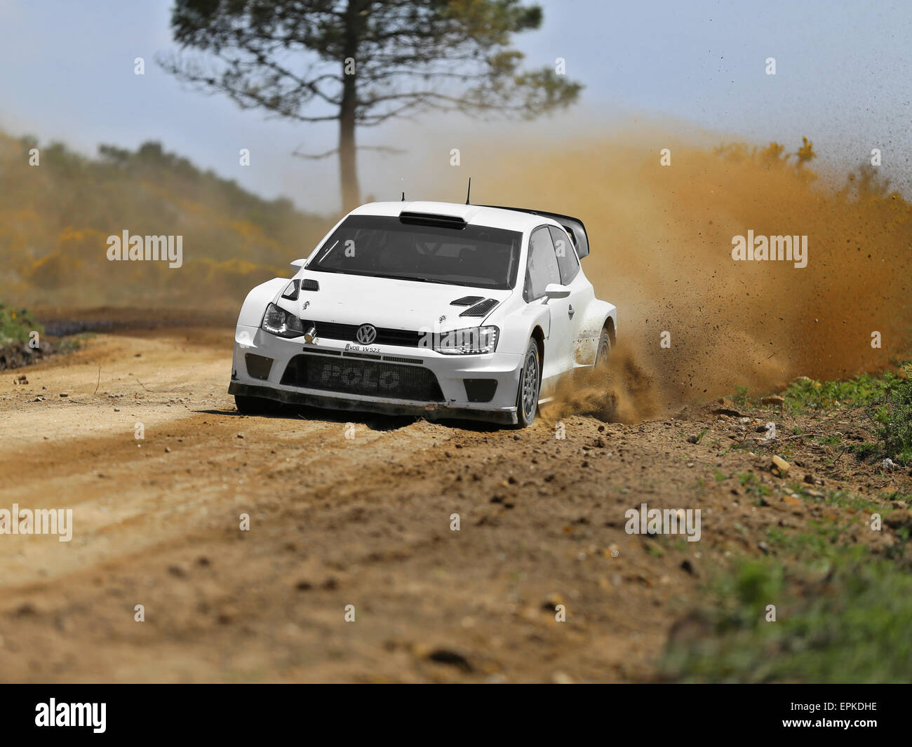 VIANA DO CASTELO, PORTUGAL - Mai 12: Volkswagen Polo R WRC in der Prüfung für Rallye Portugal in Viana do Castelo, Portugal, 12. Mai 2016. Stockfoto