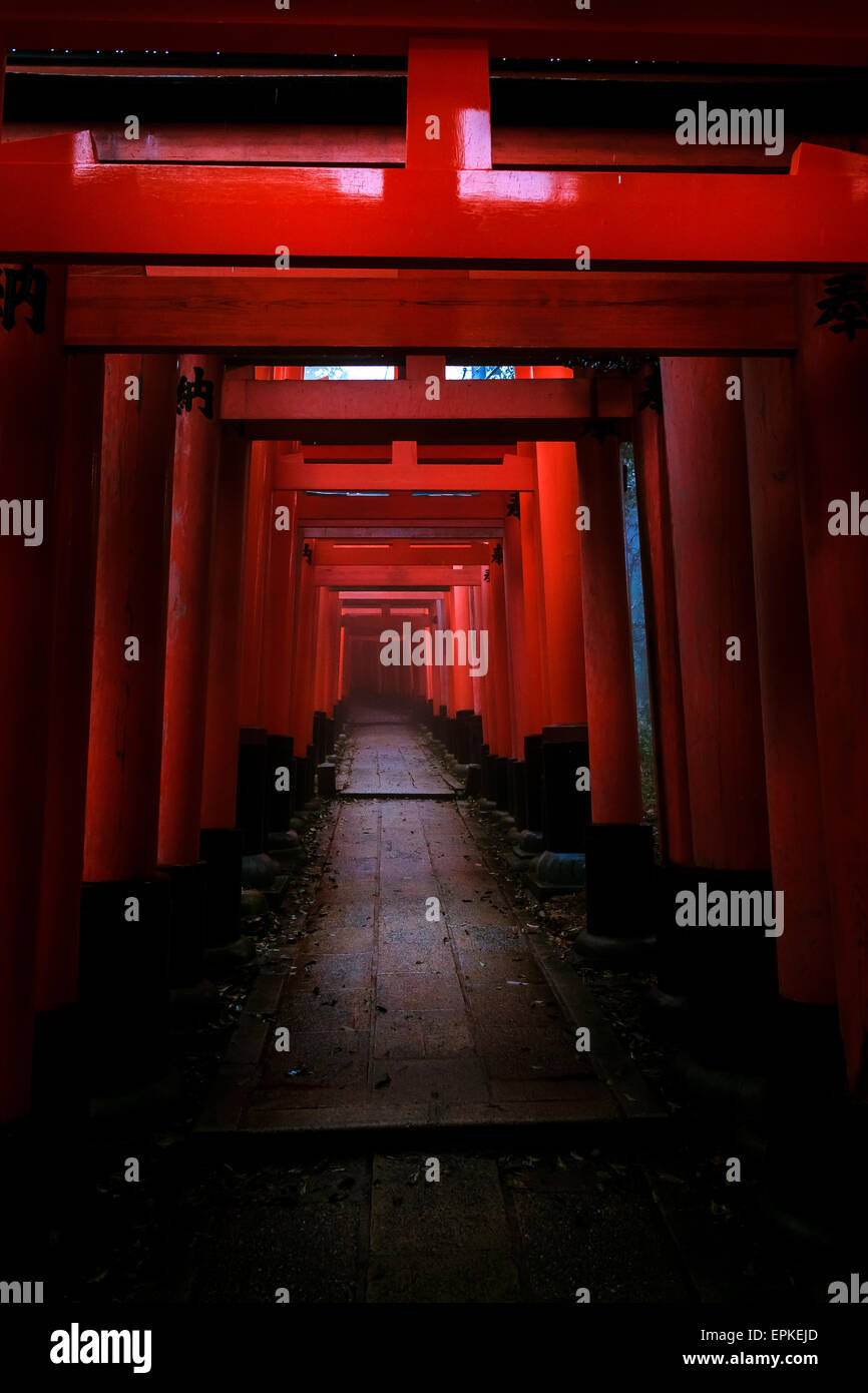 Tori Tore in den Waldweg in Kyoto Stockfoto