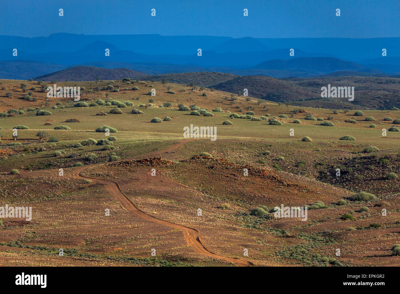 Landschaft, Okonjima, Namibia, Afrika. Stockfoto