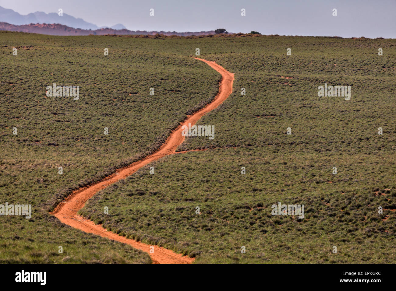 Leere Straße, Namibia, Afrika Stockfoto