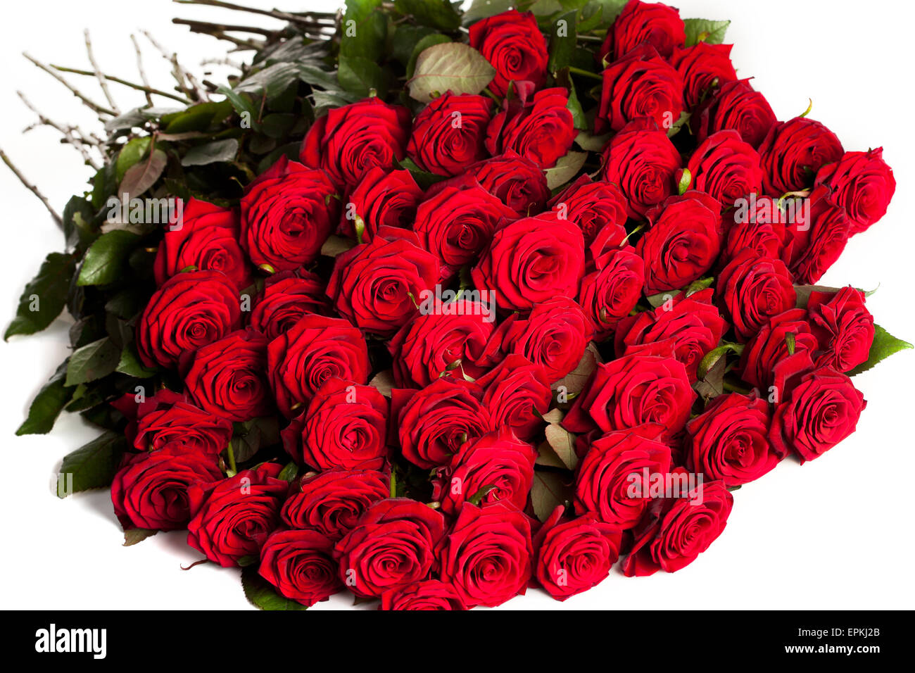 viele rote Rosen in flachen DOF Stockfotografie - Alamy