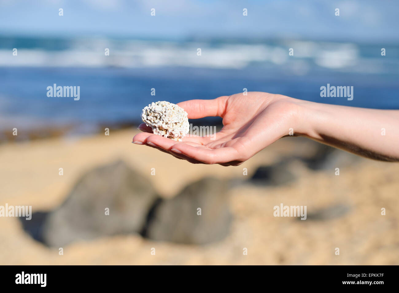 USA, Hawaii, Hanalei, Hand, die tote Korallen Stockfoto