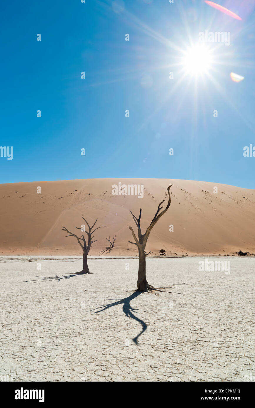 Namibia, Namib-Wüste Namib Naukluft Park, Sossusvlei, Deadvlei Stockfoto