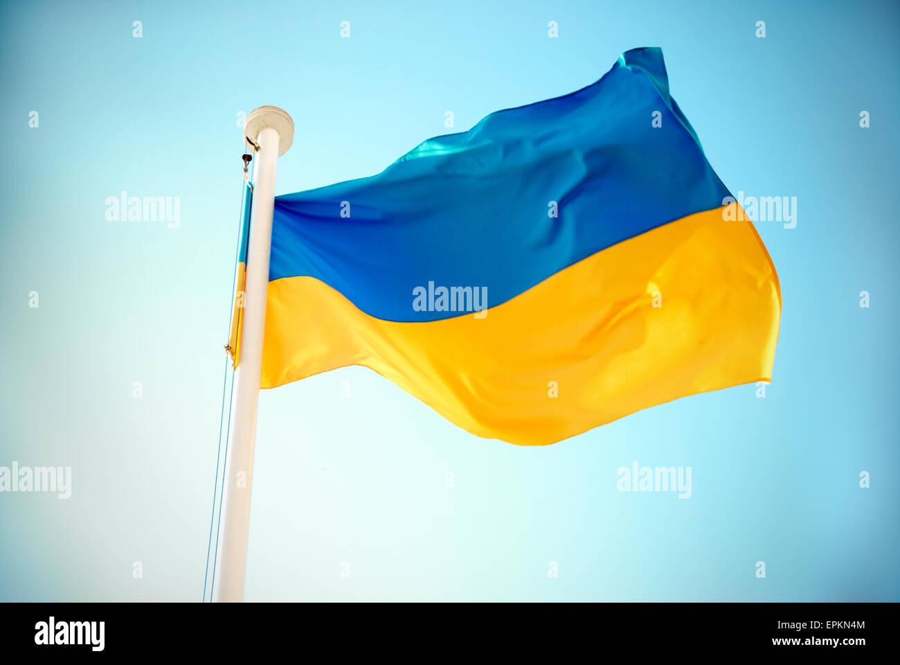 Ukrainische Flagge Stockfoto