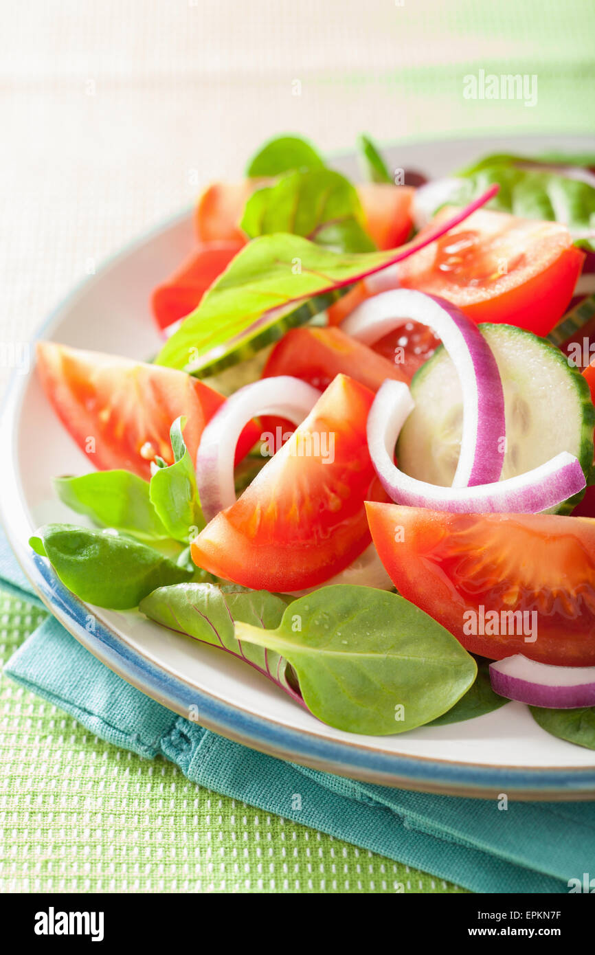 gesunden Tomatensalat mit Zwiebel Gurken Pfeffer Stockfoto