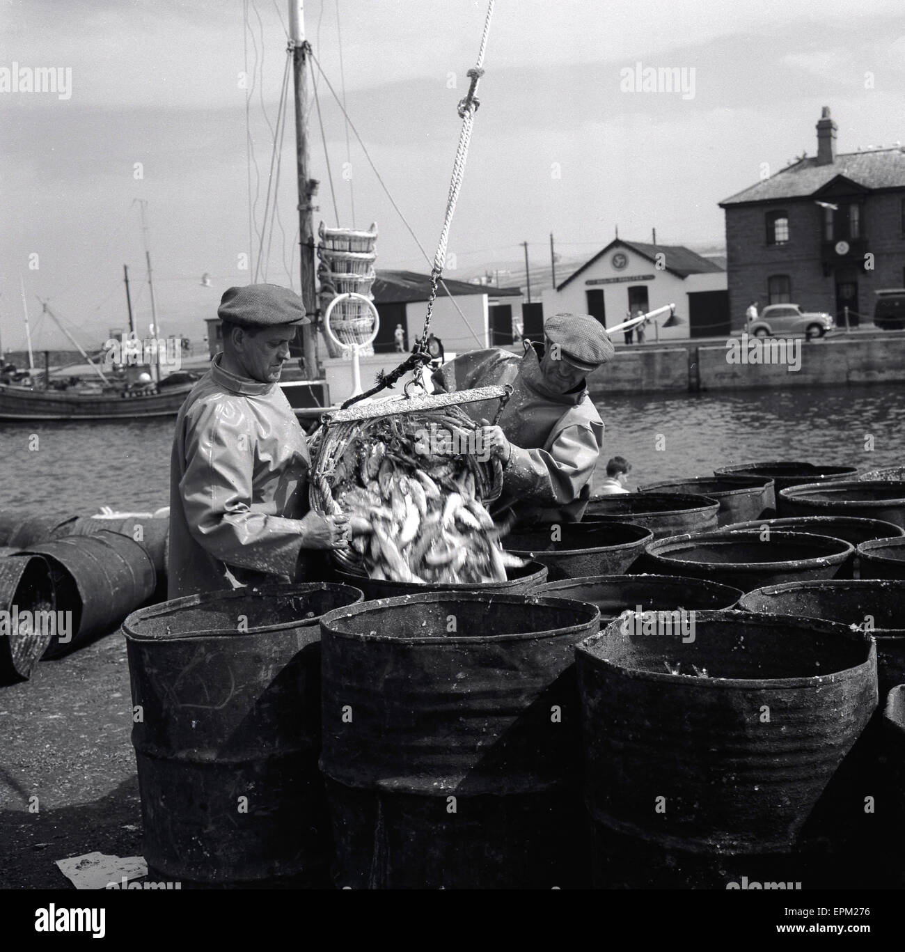 Die 1950er Jahre, historisch, zwei Fischer am Kai an den Docks gießen frischen Fisch aus einem Korb über dem Kopf in alte Metallfässer oder Fässer. Stockfoto