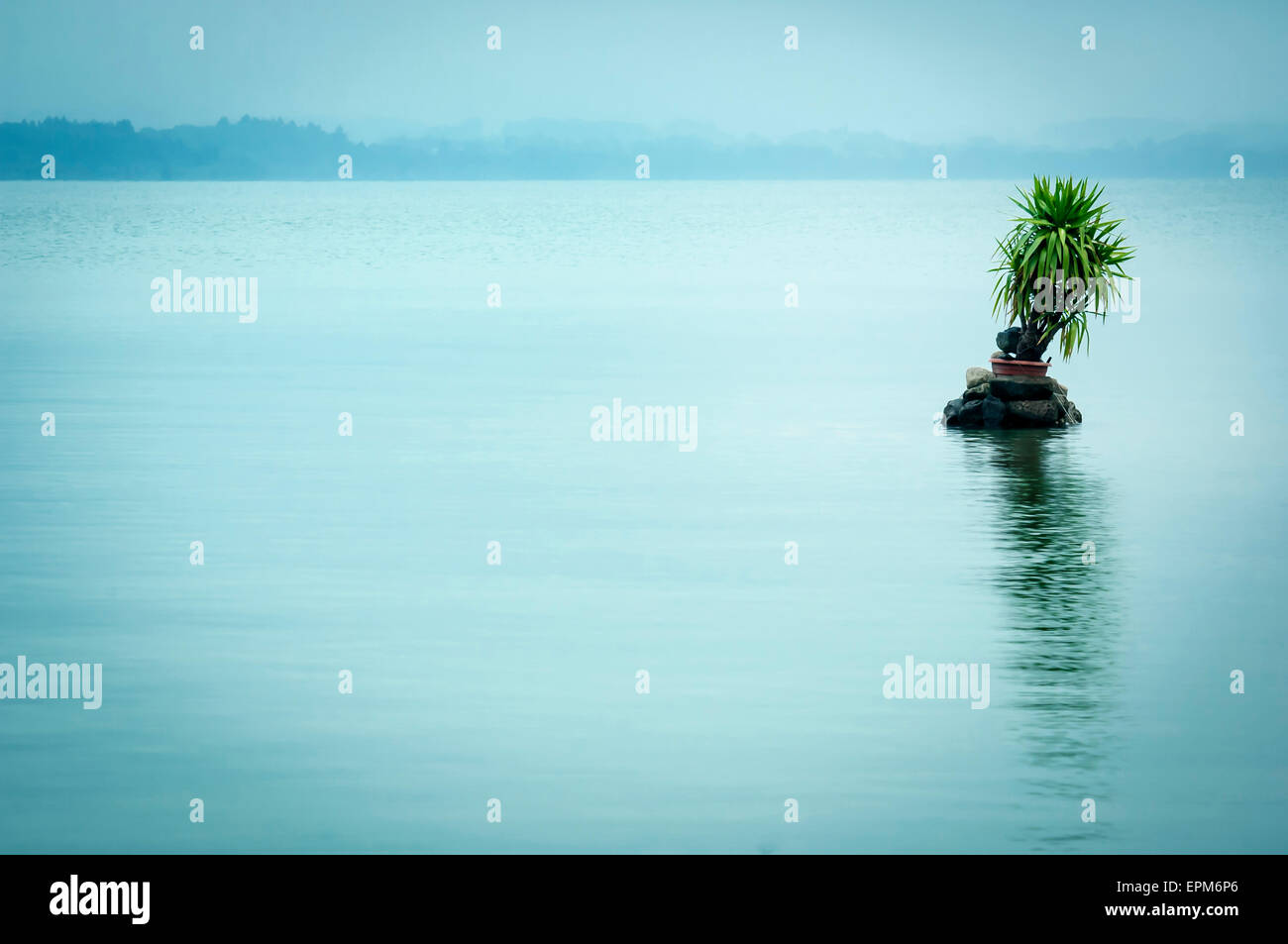 Deutschland, Bayern, Gollenshausen, Anlage am Chiemsee Stockfoto