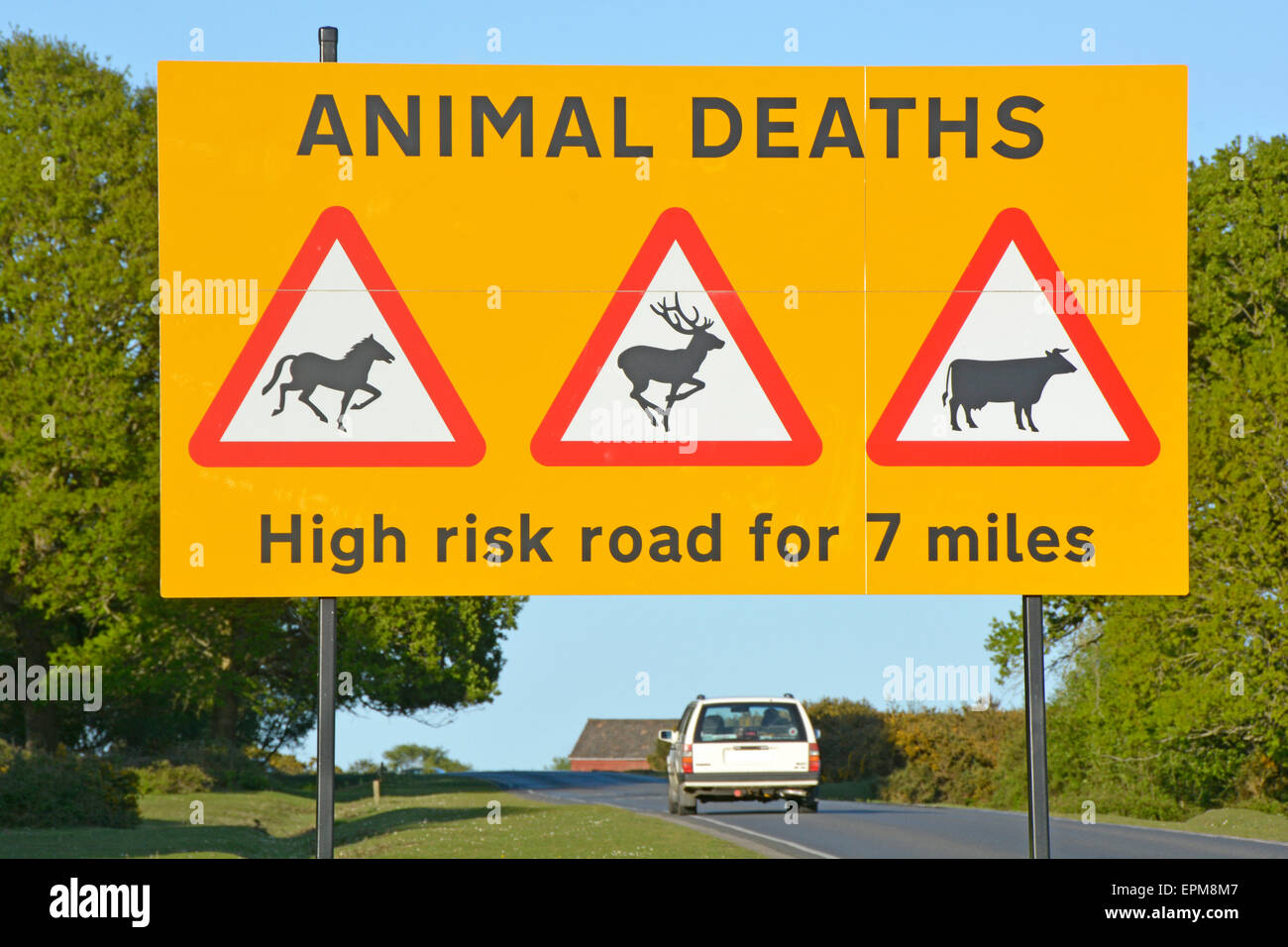 Schild Achtung Autofahrer über die ernste Gefahr von Unfällen mit roaming New Forest Ponys und anderen Tieren Hampshire England Großbritannien Stockfoto