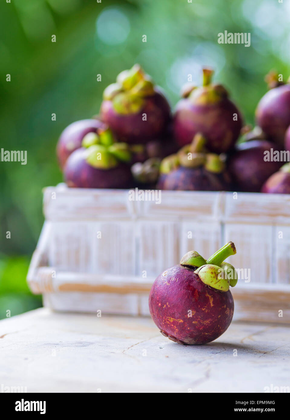 Mangostan-Frucht Stockfoto