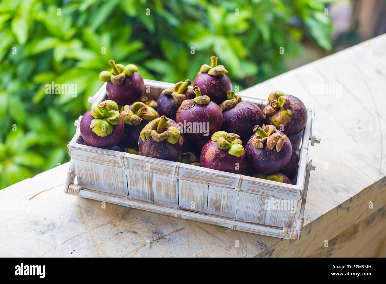 Korb mit Mangostanfrüchte Stockfoto