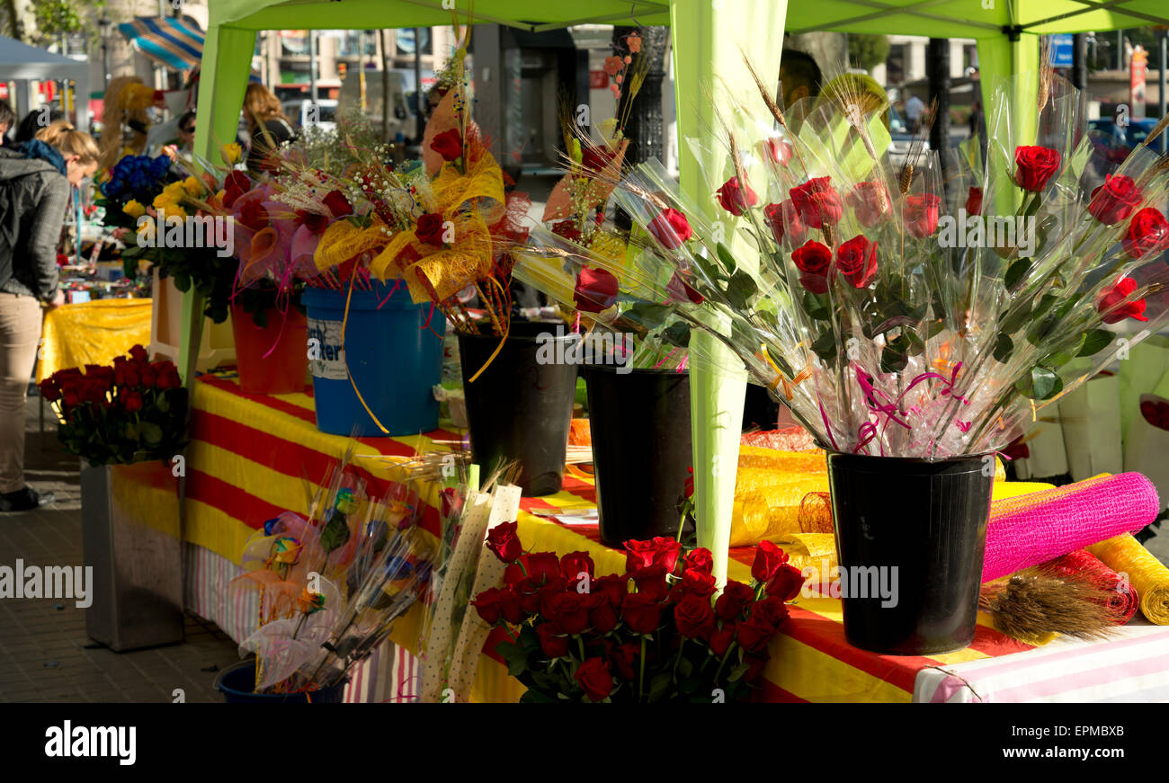 Spanien rosen Fotos und Bildmaterial in hoher Auflösung Alamy