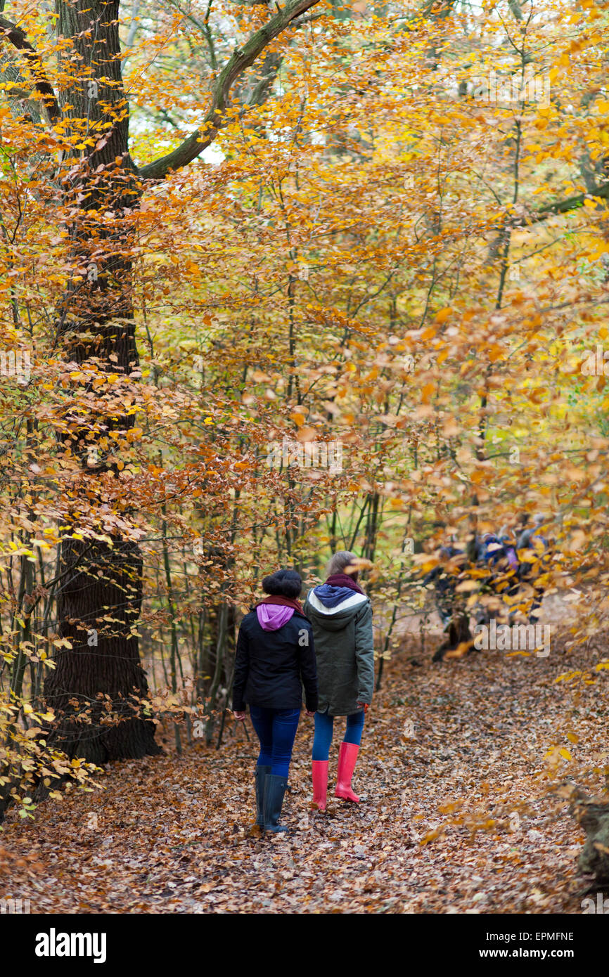 Zwei junge Mädchen im Wald Stockfoto