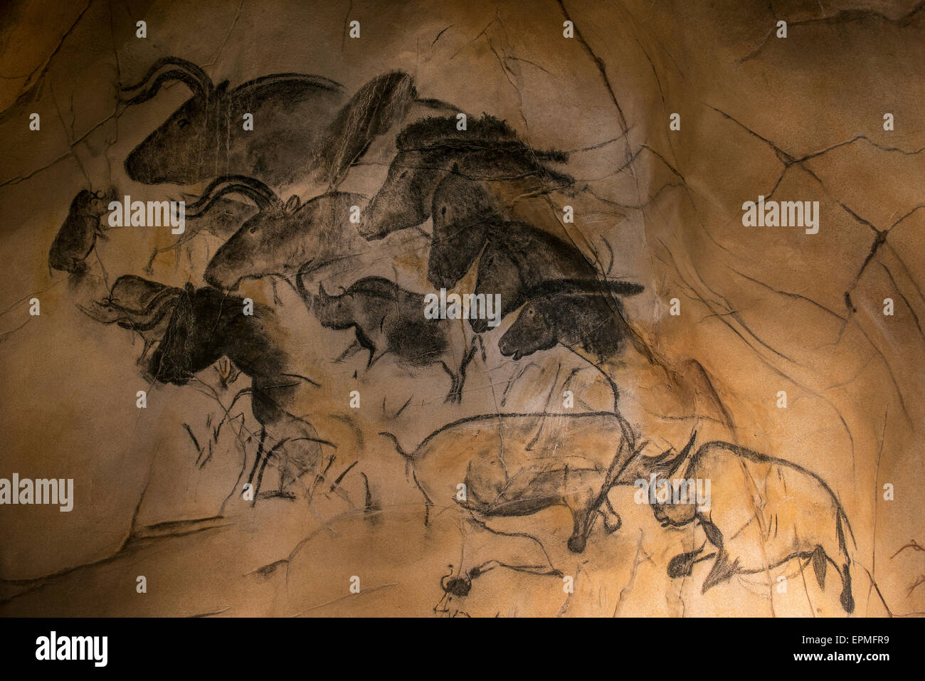 Nachbau des prähistorischen Felsmalereien der Chauvet-Höhle, Ardèche, Frankreich, zeigt Wollnashorn, Auerochsen und Wildpferde Stockfoto