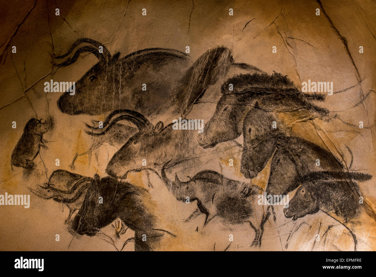Nachbau des prähistorischen Felsmalereien der Chauvet-Höhle, Ardèche, Frankreich, zeigt Wollnashorn, Auerochsen und Wildpferde Stockfoto