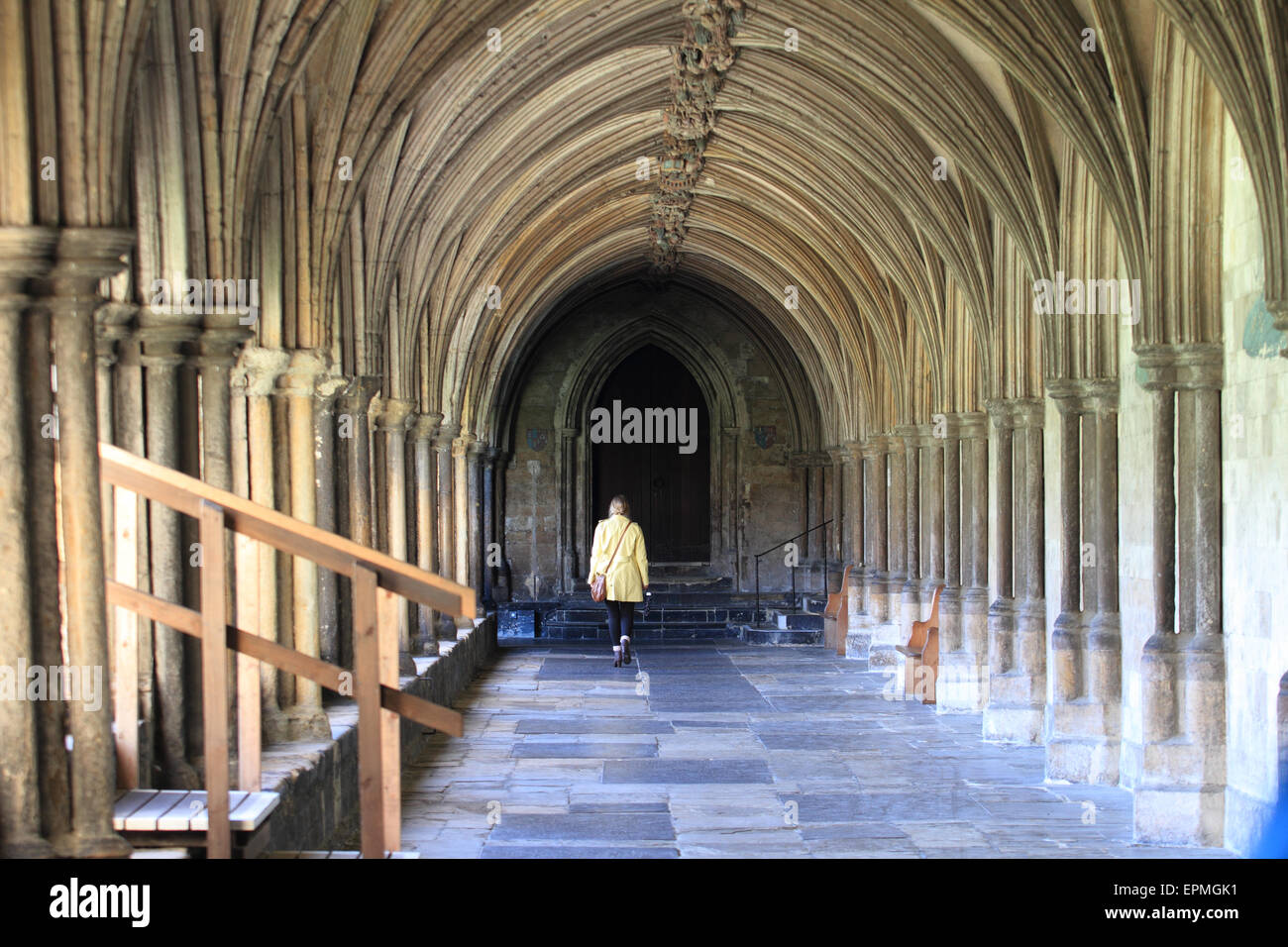 Die Klöster an der Norwich Cathedral, Lady Yellow Top Walking, Norwich, Norfolk, Großbritannien Stockfoto