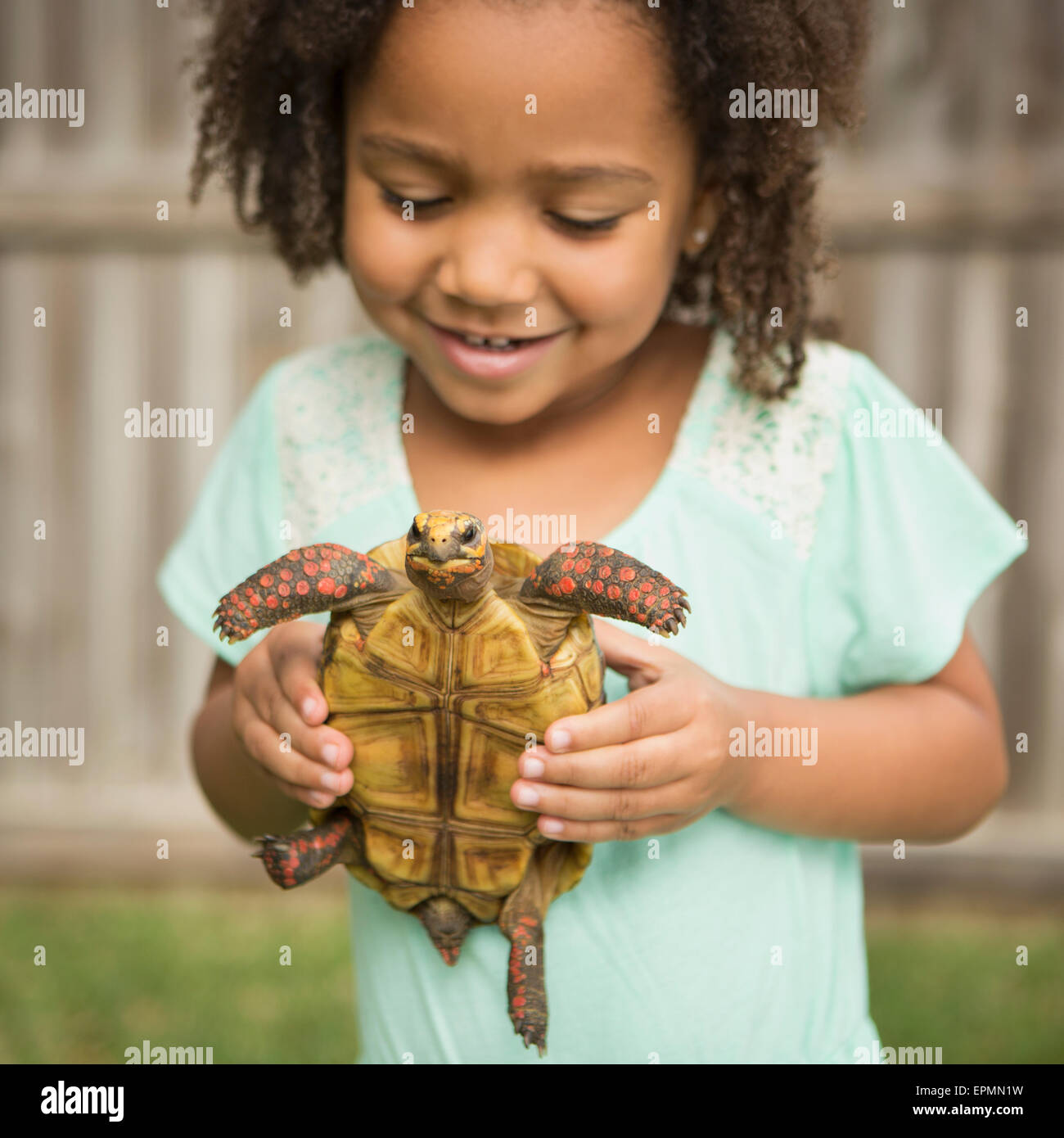 Ein Kind hält eine Schildkröte. Stockfoto