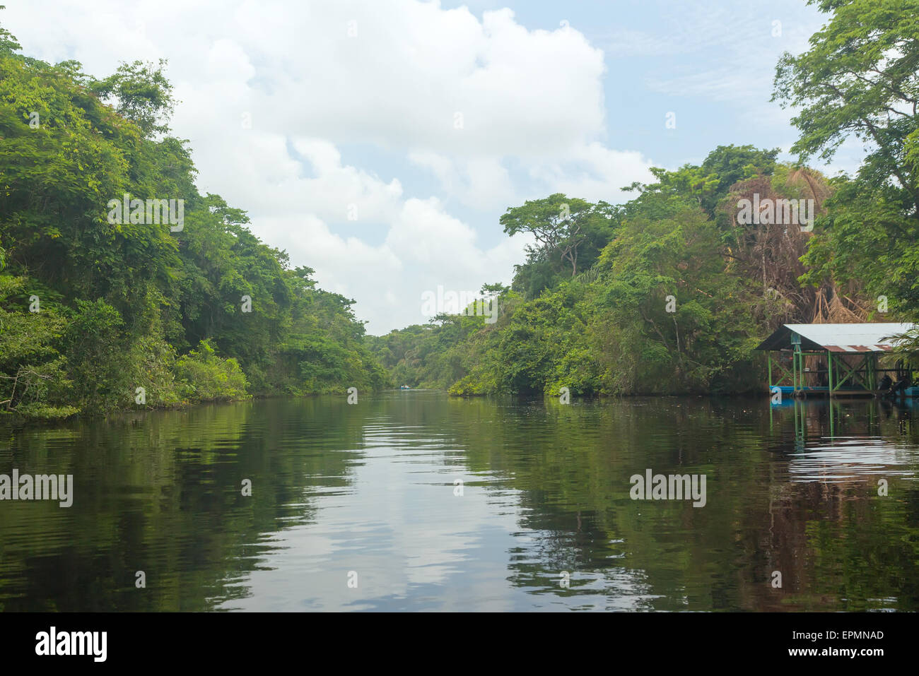 Fluss im Regenwald von Costa Rica Stockfoto