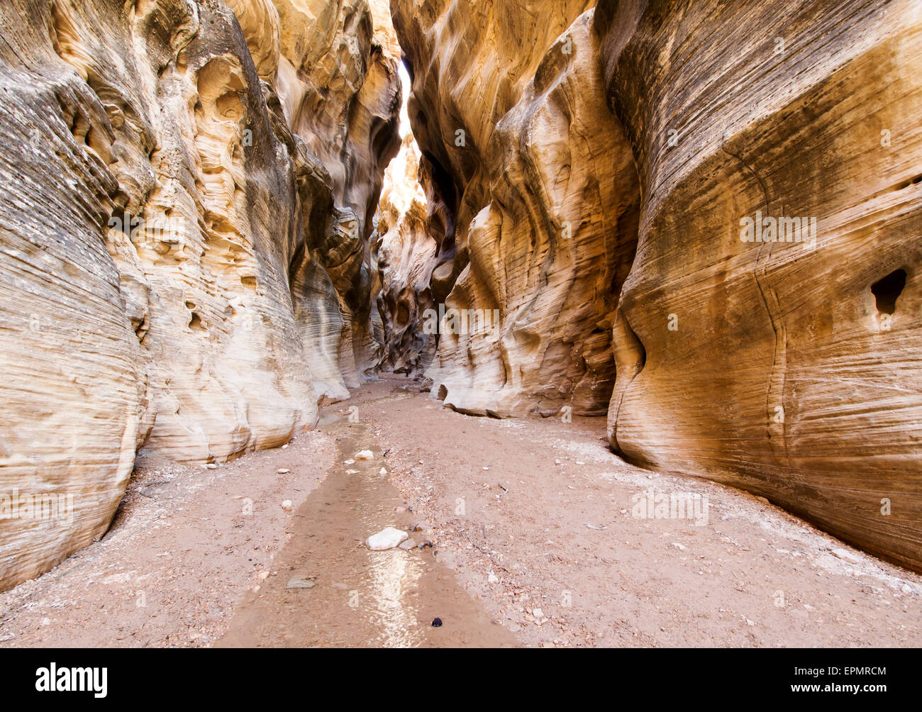 Canyon-Reflexion Stockfoto