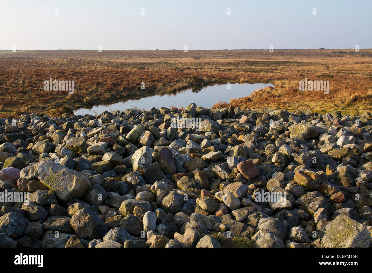 Naturpool, Rhossili Down, Gower Halbinsel, Swansea, Glamorgan, Wales, Vereinigtes Königreich Stockfoto