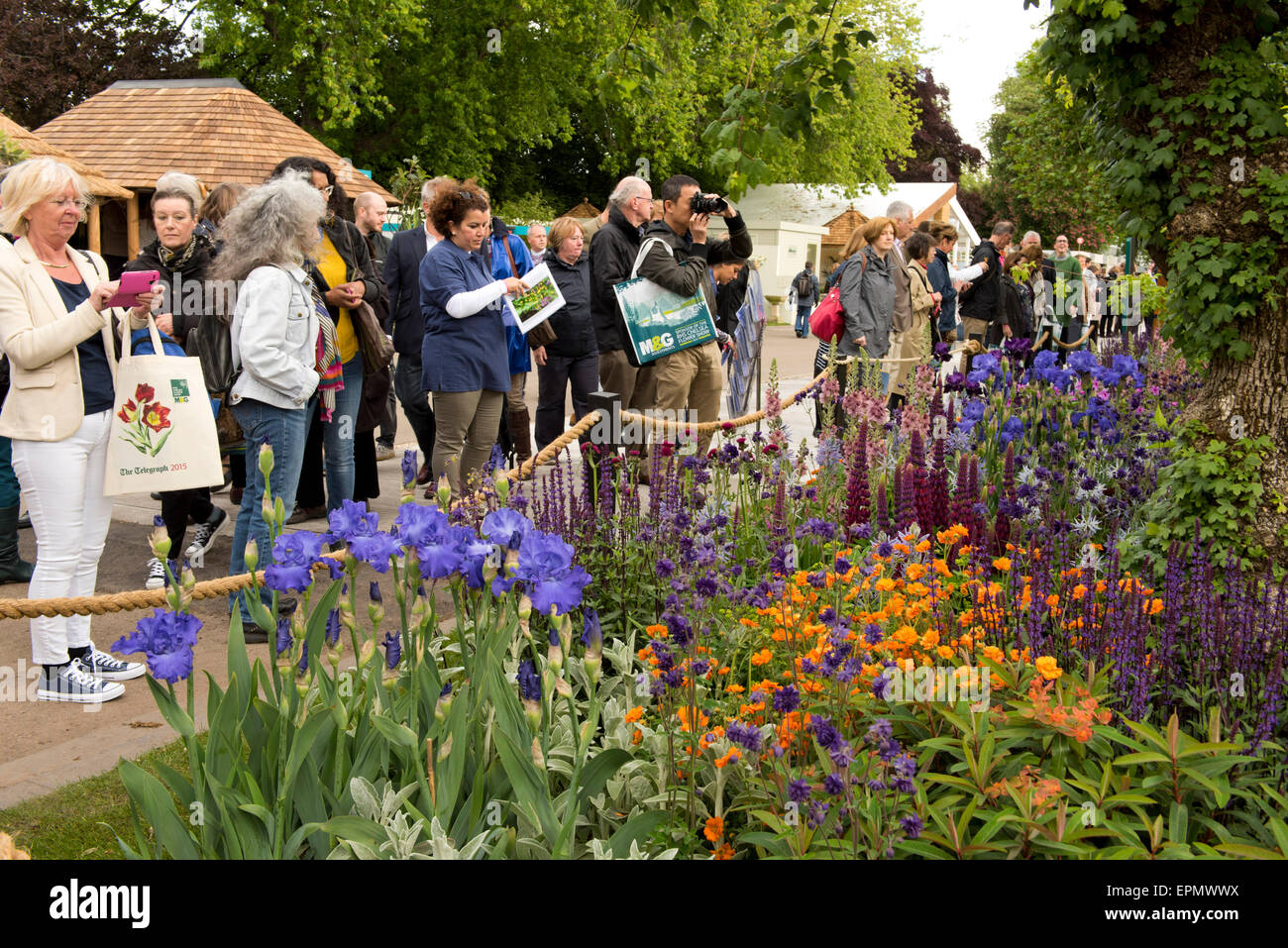 London, UK, 19. Mai 2015 Besucher auf der Chelsea Flower Show am Eröffnungstag The Morgan Stanley gesunde Städte Garden anzeigen Stockfoto