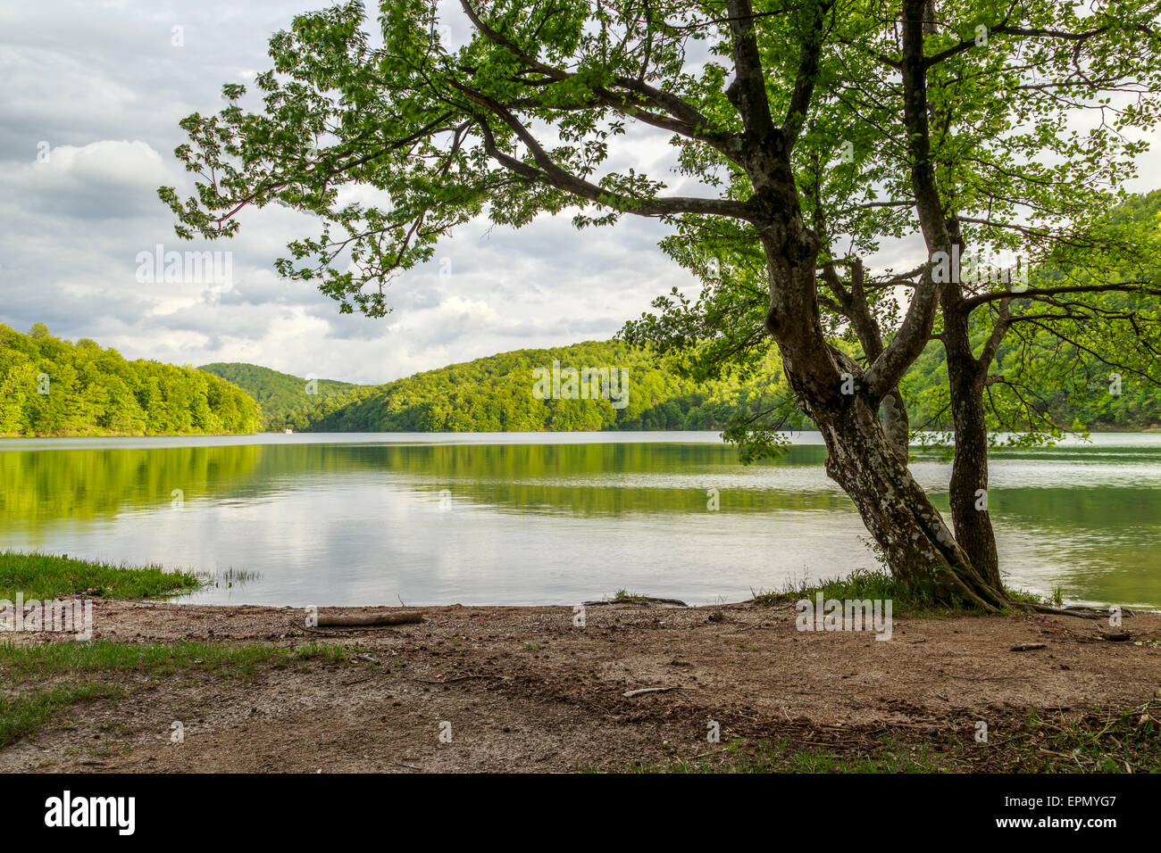 Plitvicer Seen in Kroatien - Nationalpark-Sommer Stockfoto