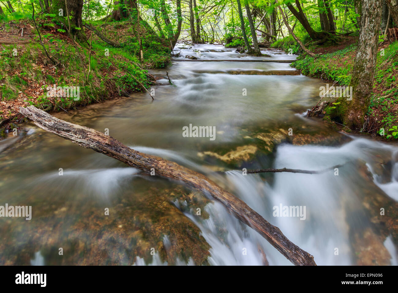 Frühling Wald Bach in Plitvice National park - Kroatien Stockfoto