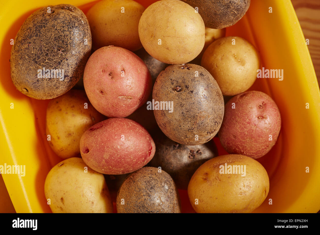 Verschiedene Babykartoffeln Stockfoto