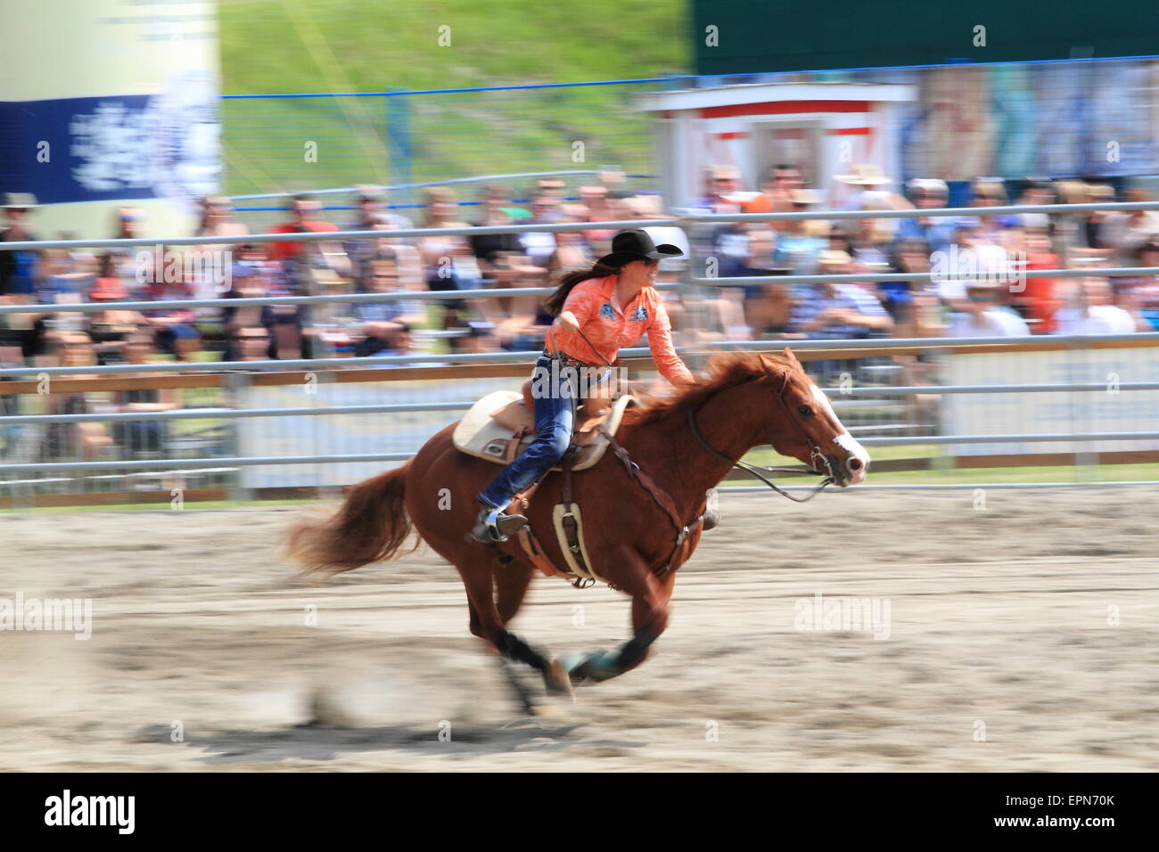 Rodeo-Bilder Stockfoto