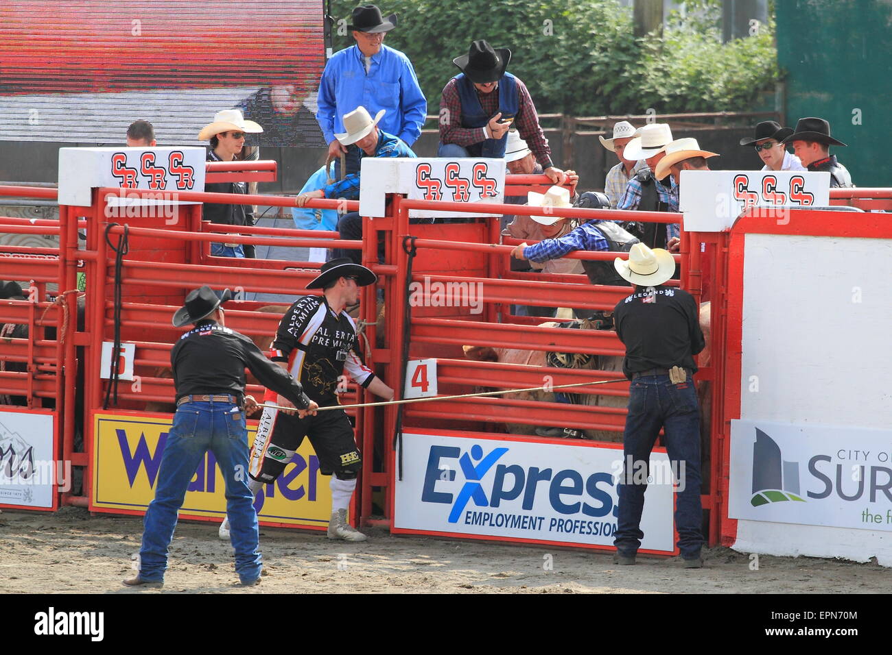 Rodeo-Bilder Stockfoto