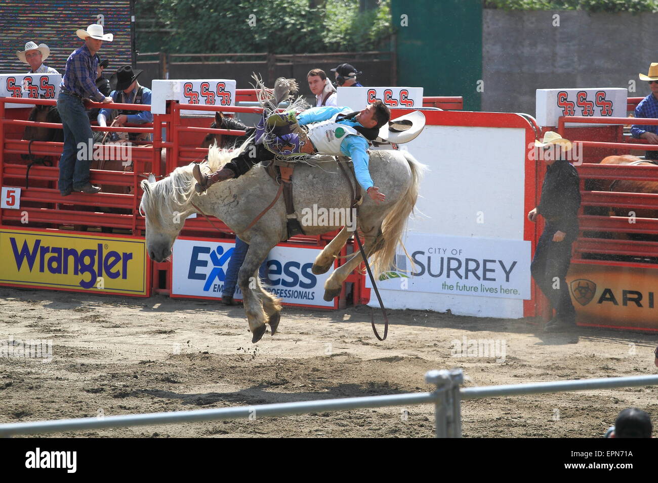 Cloverdale Rodeo Stockfoto