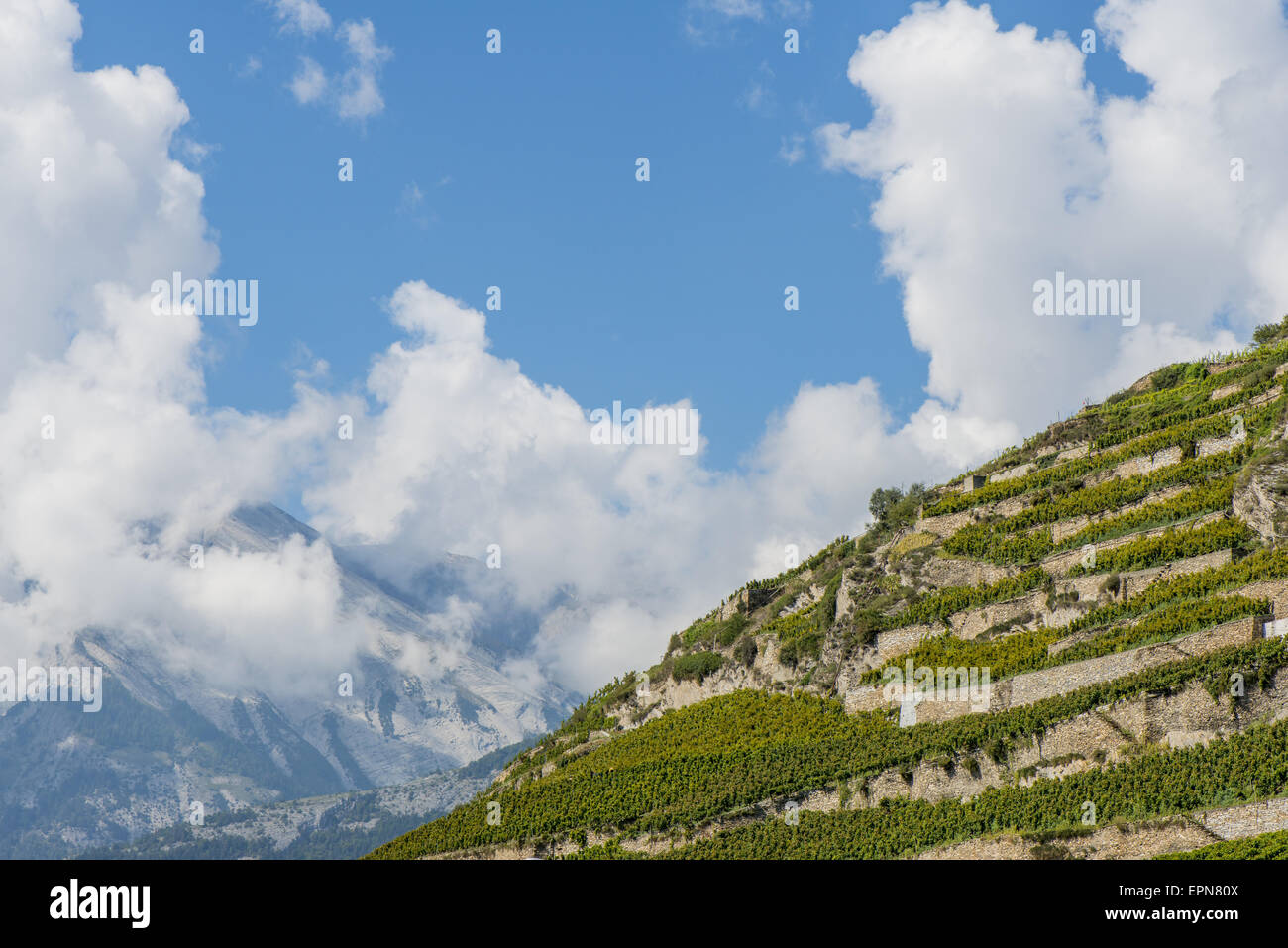 Rhone-Tal, Weinbau-Gebiet, Conthey, Bourg, Wallis, Schweiz Stockfoto