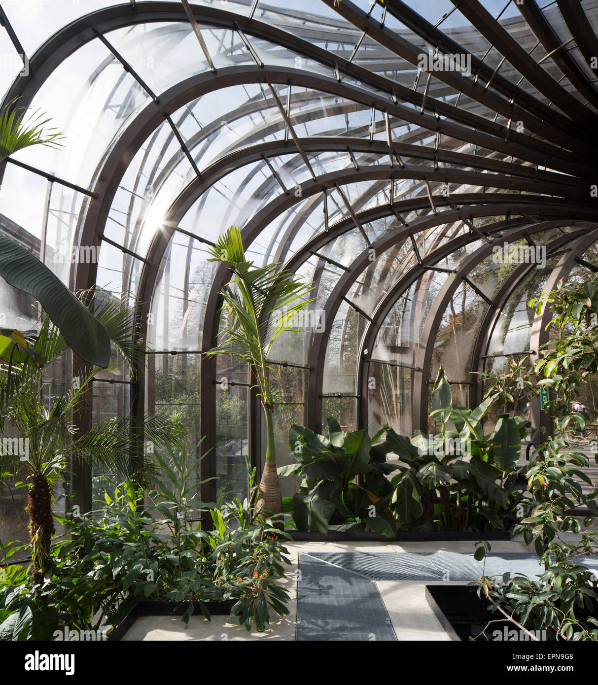 Blick auf Glashaus sitzt. Bombay Sapphire Brennerei, Laverstoke, Vereinigtes Königreich. Architekt: Heatherwick Studio, 2014. Stockfoto