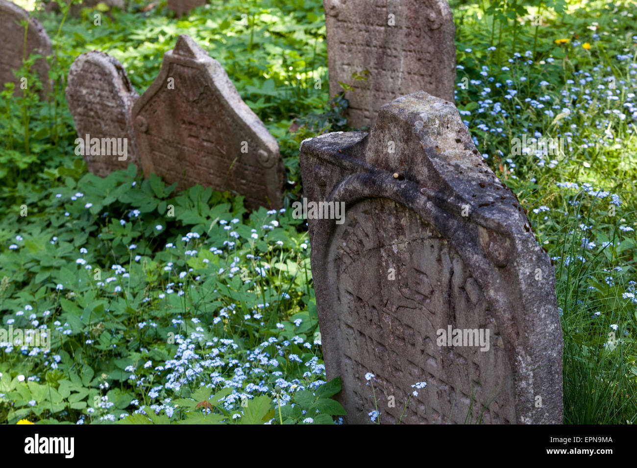 Alter jüdischer Friedhof in Trebic, Mähren, Tschechien. UNESCO-Weltkulturerbe. Stockfoto