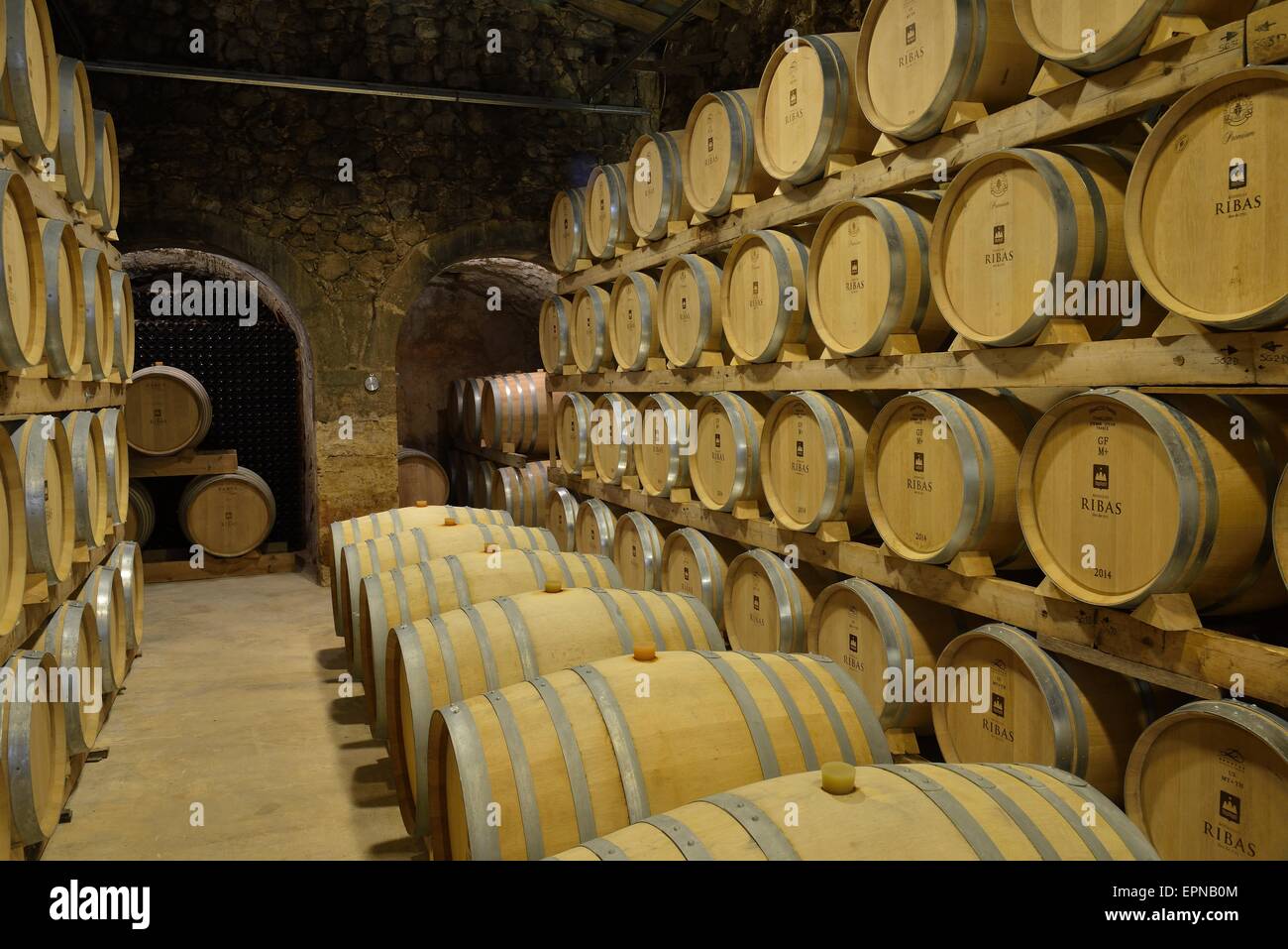 Weinfässer, Bodega Ribas, Consell, Mallorca, Balearen, Spanien Stockfoto